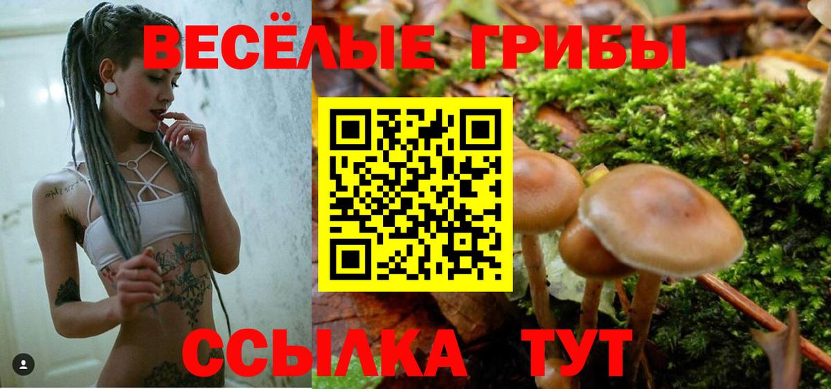 Псилоцибиновые грибы мухоморы Дубна