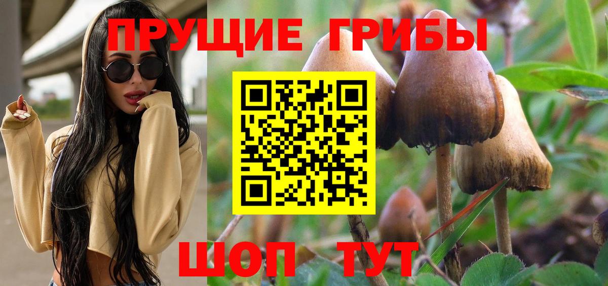 Дубна  Псилоцибиновые грибы MAGIC MUSHROOMS  Вход с VPN 